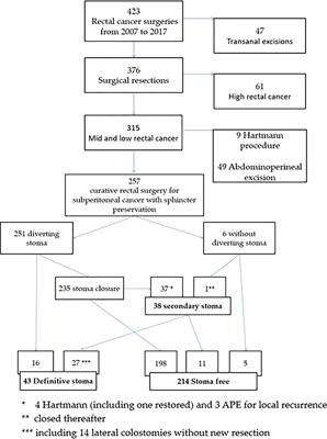 Permanent stoma after sphincter preservation for rectal cancer. A situation that occurs more often than you might think